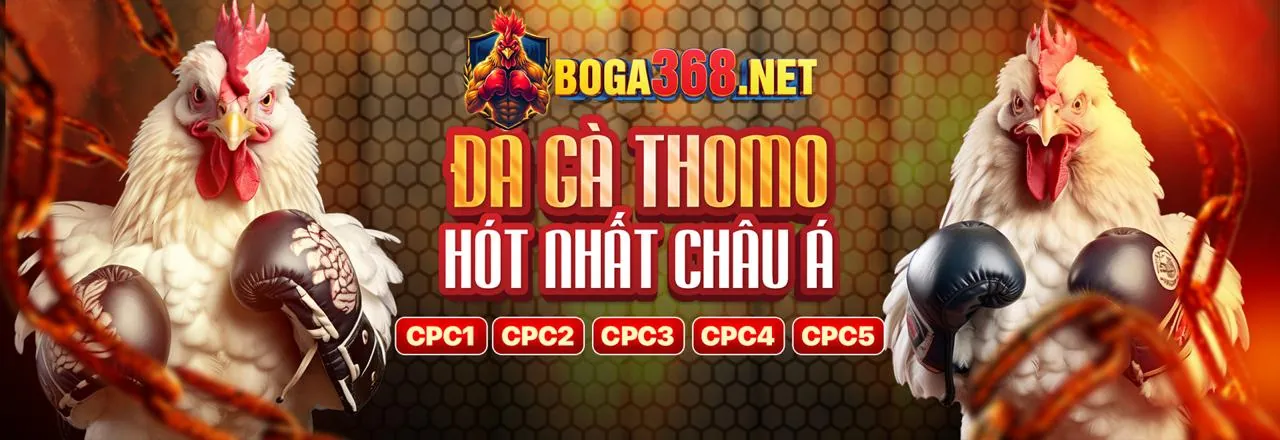 Đá Gà Trực Tuyến 888vip