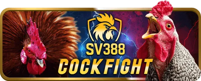 Quy Trình Đặt Cược Đá Gà Chi Tiết tại 888vip